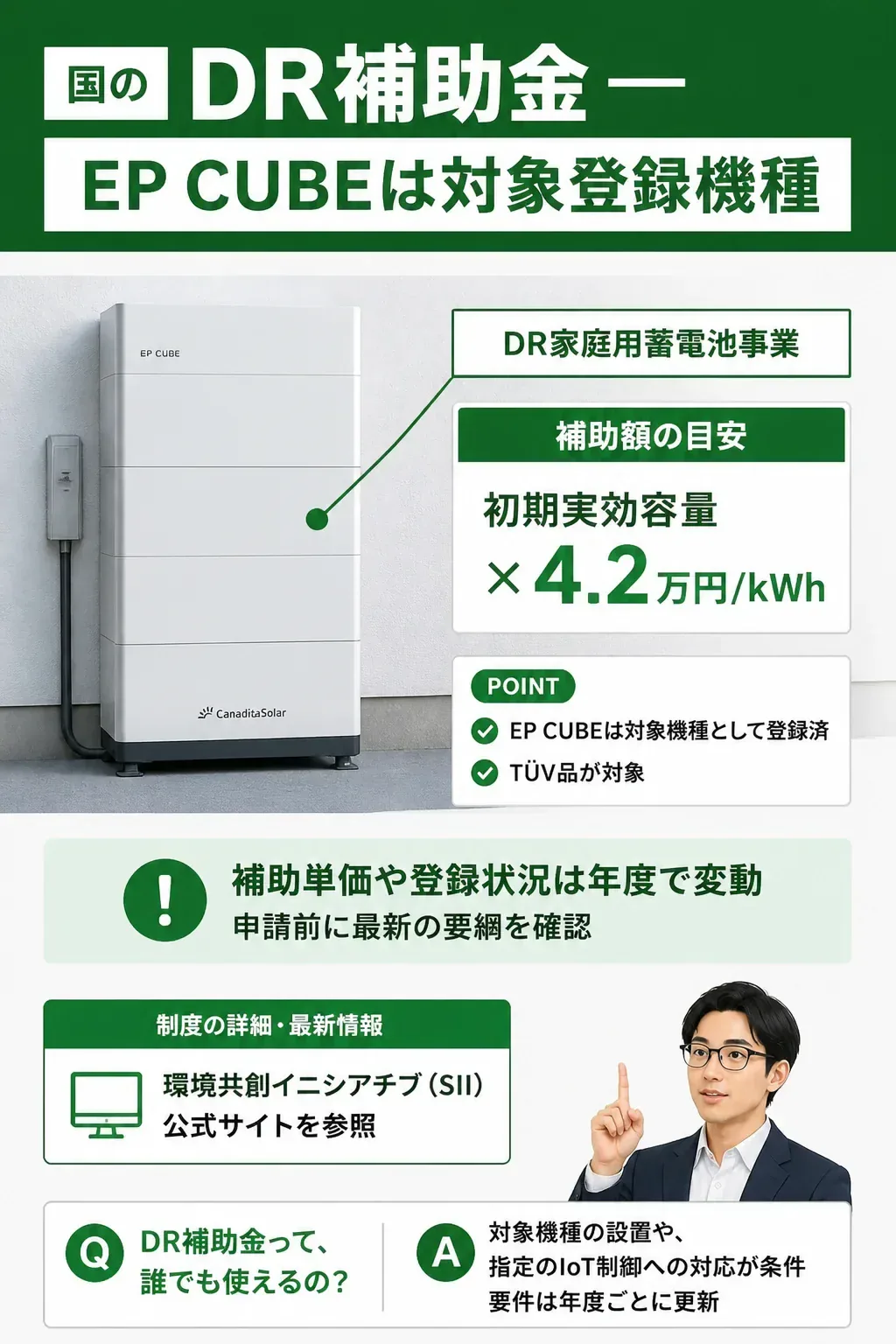 国のDR補助金の仕組みを示す図解