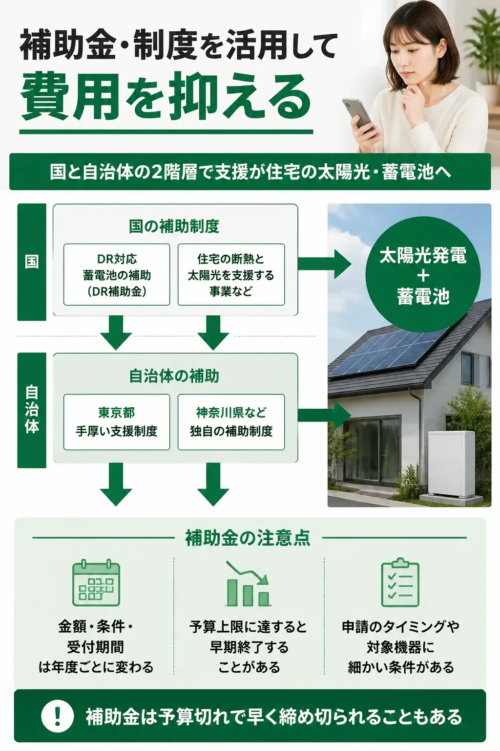 国と自治体の補助制度の関係を示す俯瞰図